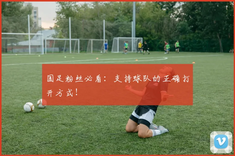 国足粉丝必看:支持球队的正确打开方式!