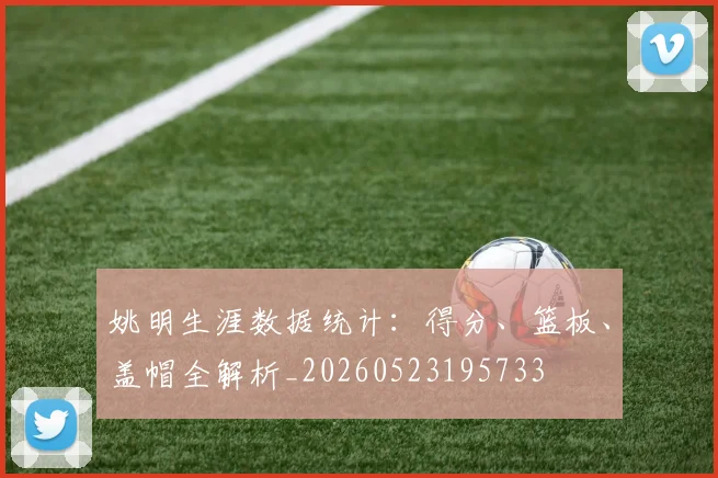 姚明生涯数据统计：得分、篮板、盖帽全解析_20260523195733